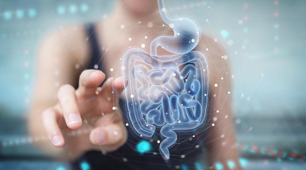 Microbioma e Ansia: Una Connessione Sempre Più Chiara