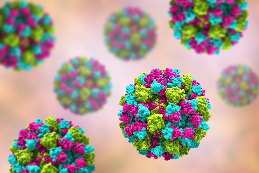 Aumento dei casi di Norovirus: una nuova variante all’origine del fenomeno?